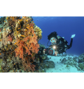 SportDiver Underwater Smartphone Housing (SL400-U)