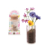 Mini-Pflanzset Blumenwiese, Blumensamenmischung, Anzuchtglas, Substrattablette