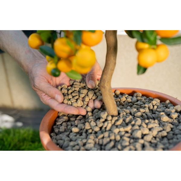 Floragard Pflanzgranulat 25l 4006398040488 Floragard 25000 Milliliter