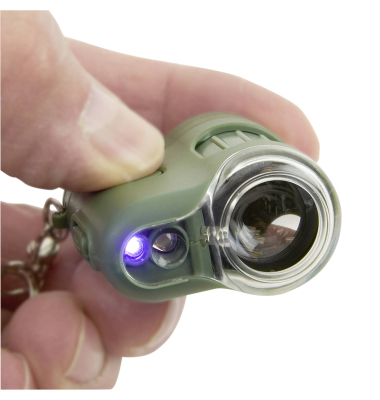 MicroMini gr&uuml;n