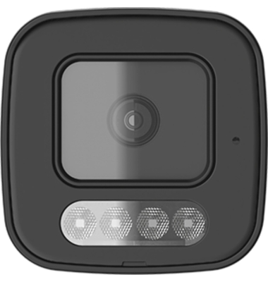 BCB-P01 &Uuml;berwachungs- kamera outdoor Farbe