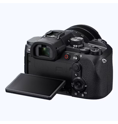 DSC-RX10 V