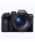 DSC-RX10 V