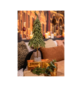 Merry Fir mini-Baum 12x35cm gn