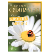 Geburtstagskarten 512753 11,5x17 cm 115mm x 170mm (BxH) bunt