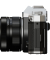FX-D 100