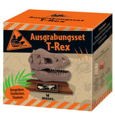 Dino Ausgrabungsset T-Rex