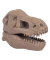 Dino Ausgrabungsset T-Rex