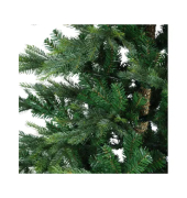 Weihnachtsbaum Grandis Fir, 681458