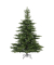Weihnachtsbaum Grandis Fir, 681458