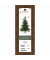 Weihnachtsbaum Grandis Fir, 681458