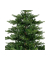 Weihnachtsbaum Grandis Fir, 681458