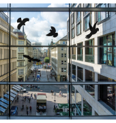 Fensteraufkleber Vogelsilhouette sw 5St
