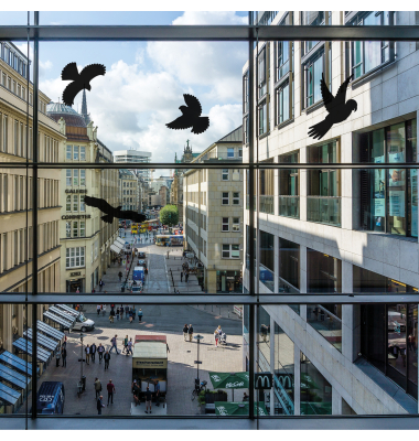 Fensteraufkleber Vogelsilhouette sw 5St