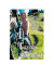 Geburtstagskarte Mountainbike