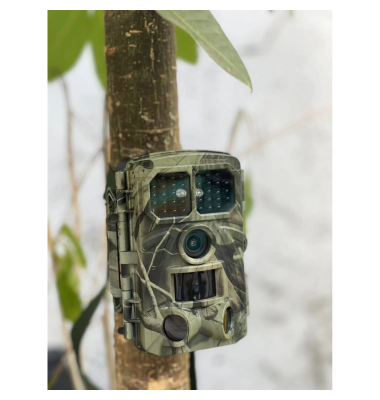 WCT-8026W Wildkamera