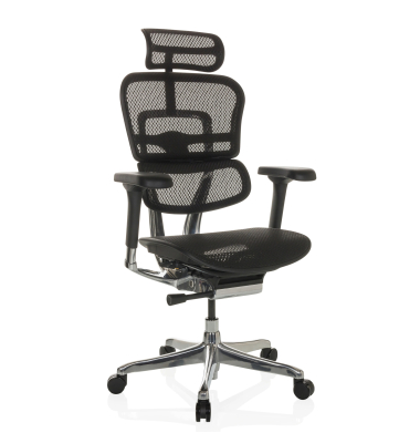 Chefsessel ERGOHUMAN GEN2 Netz sw
