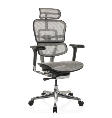 Chefsessel ERGOHUMAN GEN2 Netz gr