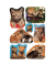 Sticker Katzenfoto Katzen Papier 3527