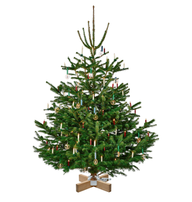 Kopenhagen Wei&szlig; 2,5 m 12 cm Christbaumst&auml;nder