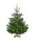 Kopenhagen Wei&szlig; 2,5 m 12 cm Christbaumst&auml;nder