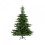 Weihnachtsbäume