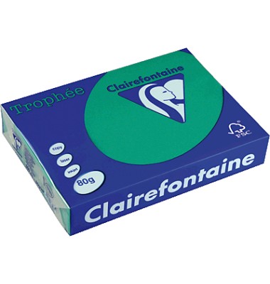 Clairefontaine Kopierpapier Trophee tannengrün intensiv