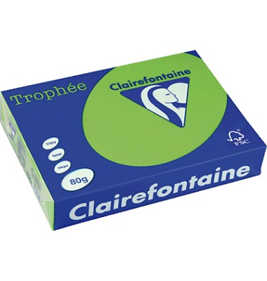 Clairefontaine Kopierpapier Trophee minzgrün intensiv