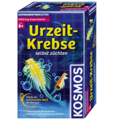 Spielzeug