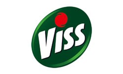 Viss Logo