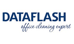 Data Flash Logo